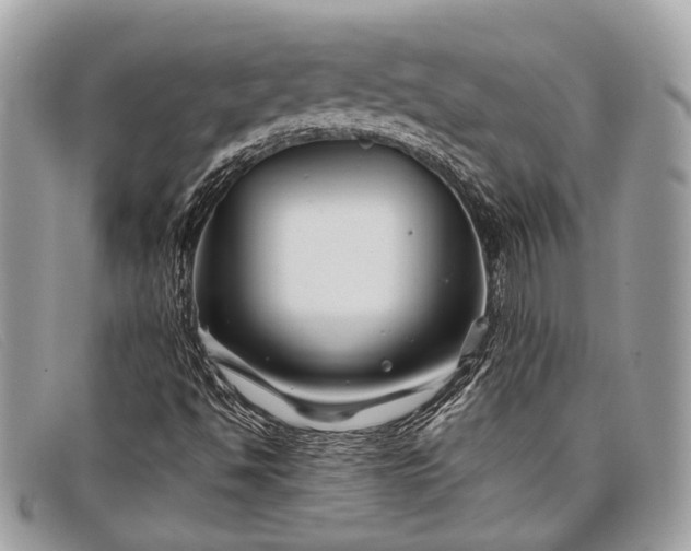 X0000098031494200804111309