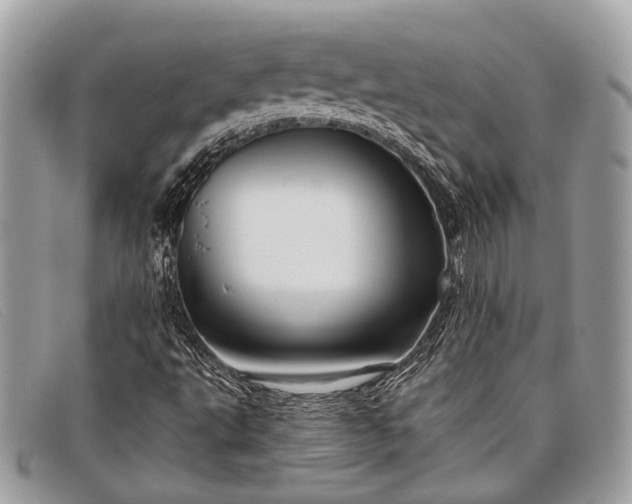 X0000098031495200804111309