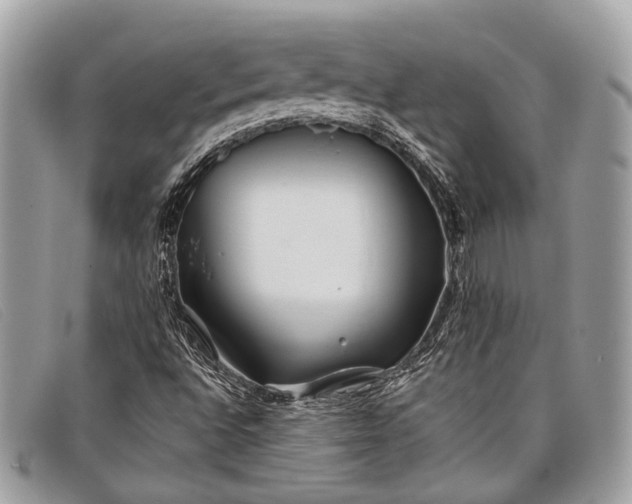 X0000098031496200804111309