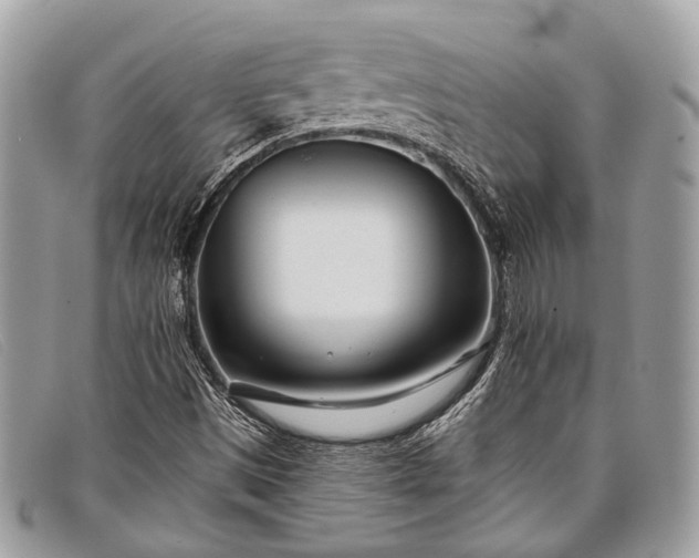 X0000098031497200804111309