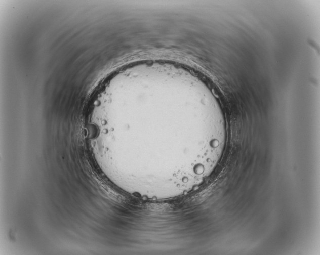 X0000098031498200804111310