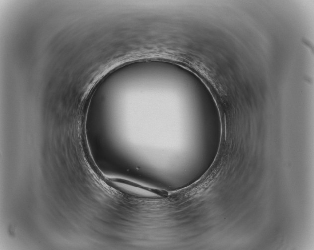 X0000098031500200804111310