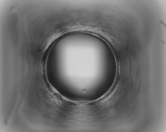 X0000098031501200804111310