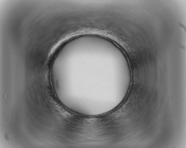 X0000098031502200804111310