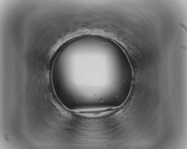 X0000098031503200804111310