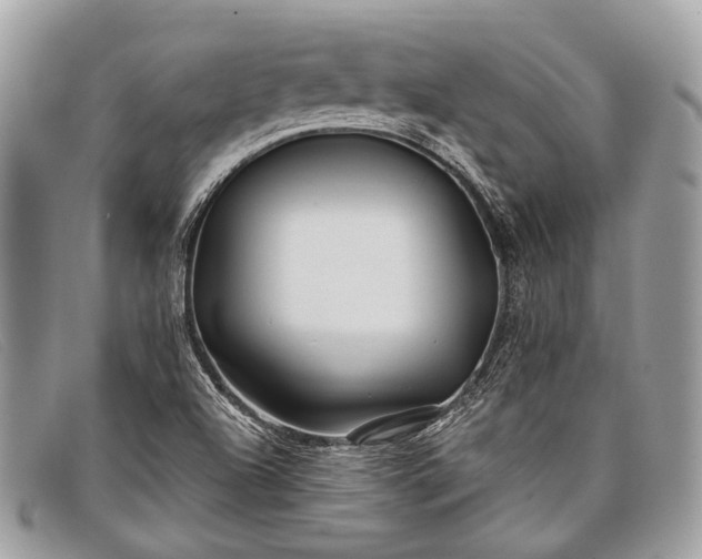 X0000098031504200804111310