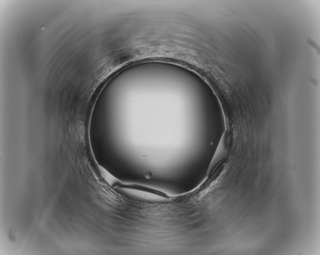 X0000098031505200804111310