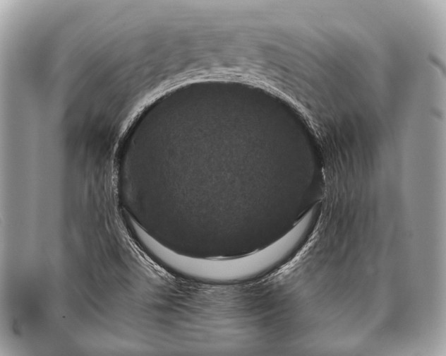 X0000098031506200804111310