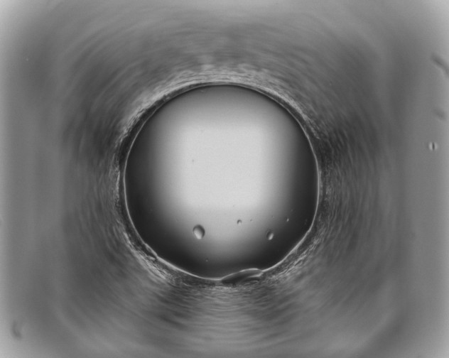 X0000098031507200804111310