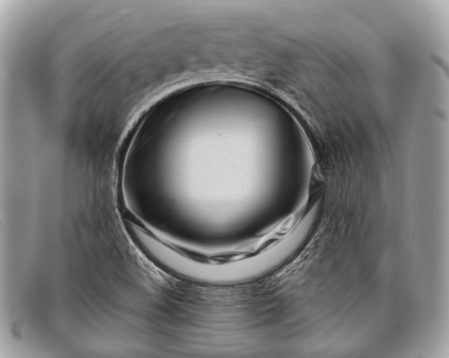 X0000098031508200804111310