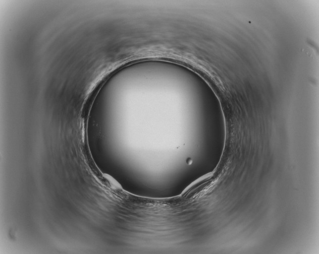 X0000098031509200804111310