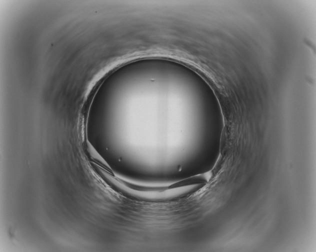 X0000098031510200804111310