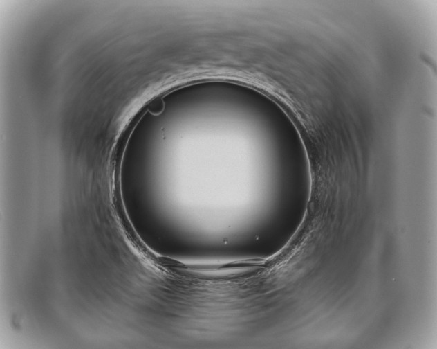 X0000098031511200804111310