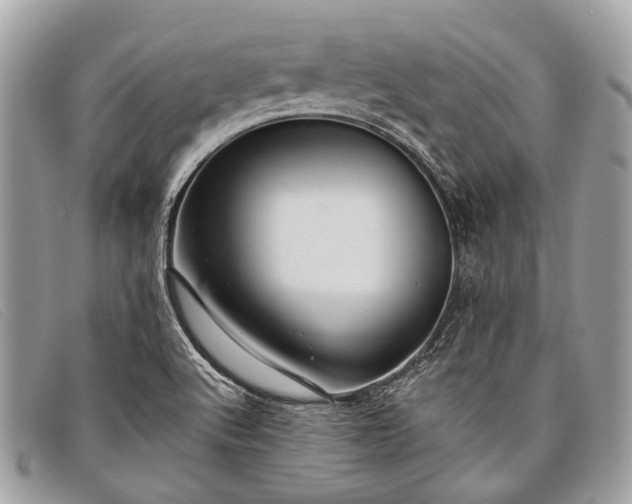 X0000098031512200804111310