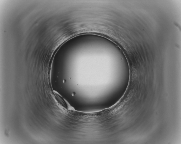 X0000098031513200804111310