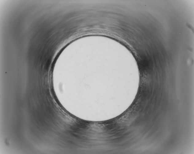 X0000098031514200804111310