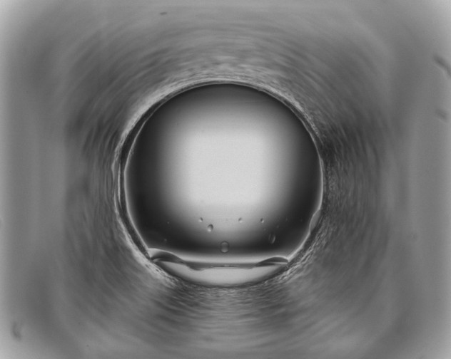 X0000098031515200804111310