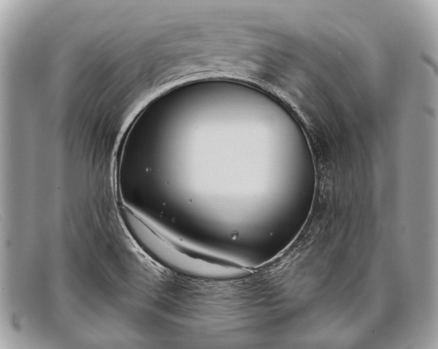 X0000098031516200804111310