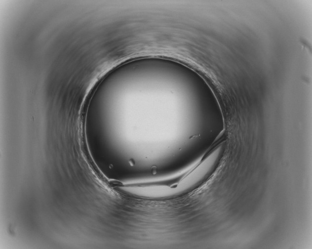 X0000098031517200804111310