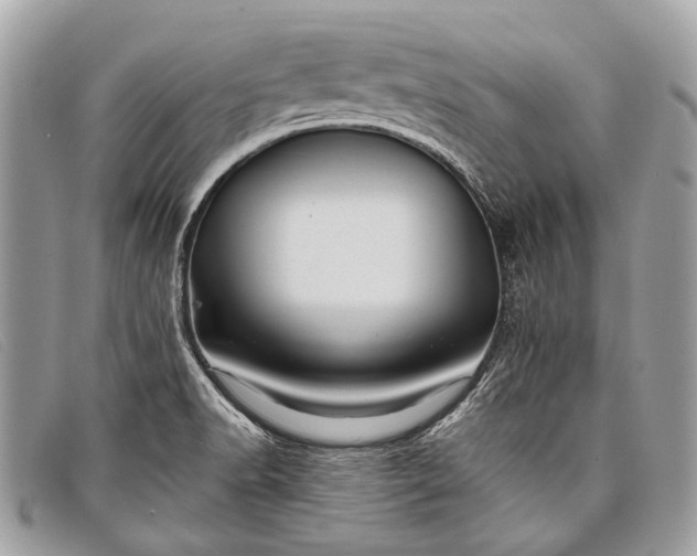 X0000098031518200804111310