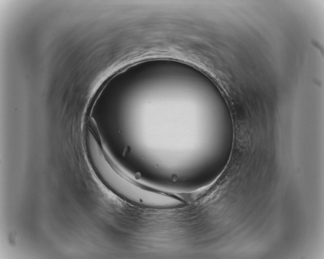 X0000098031519200804111310