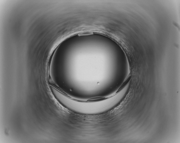 X0000098031520200804111310