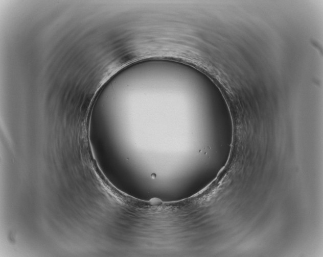 X0000098031521200804111310