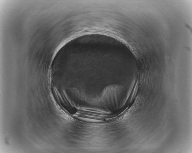 X0000098031522200804111310