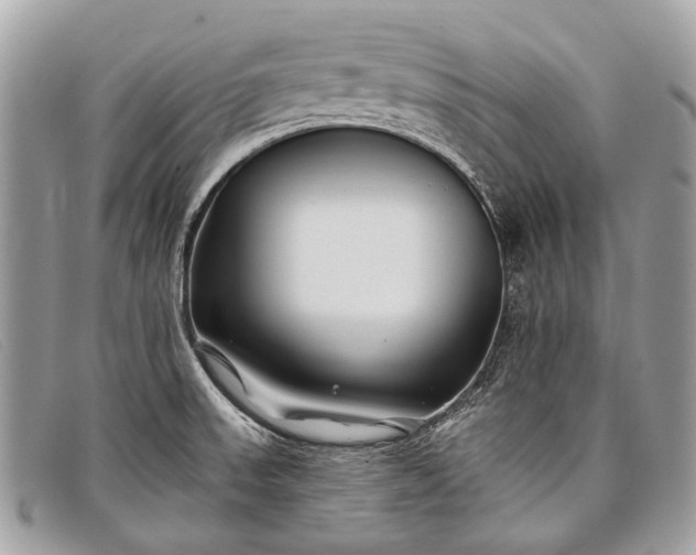 X0000098031523200804111310