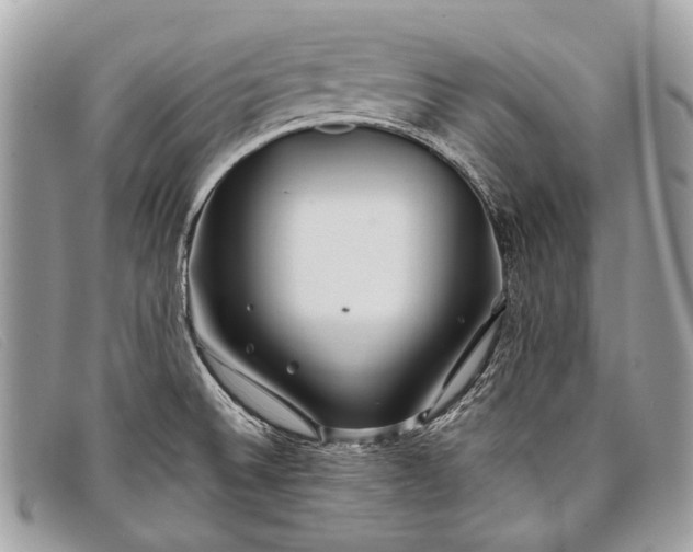 X0000098031524200804111310