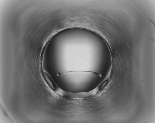 X0000098031525200804111310