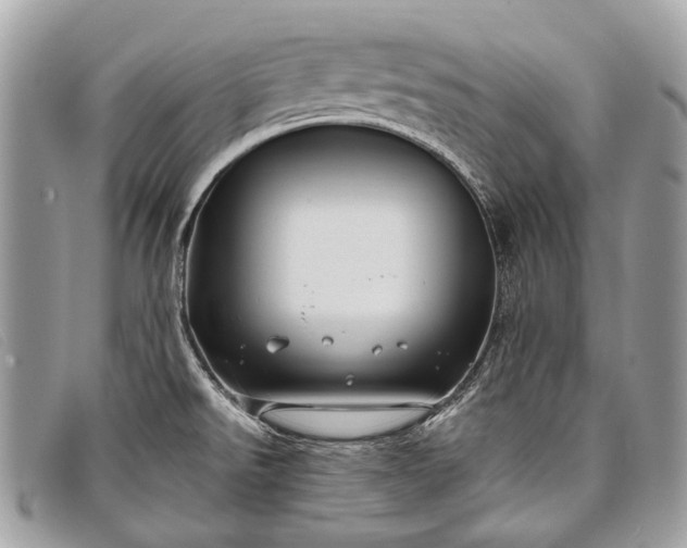 X0000098031526200804111310