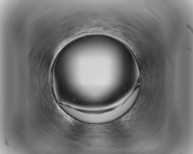 X0000098031527200804111310