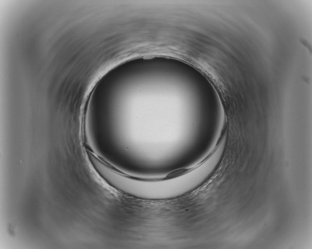 X0000098031528200804111310