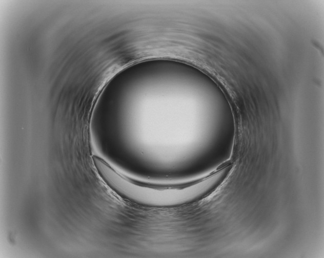 X0000098031529200804111310