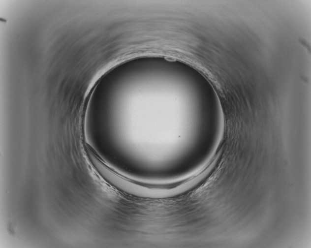 X0000098031530200804111310