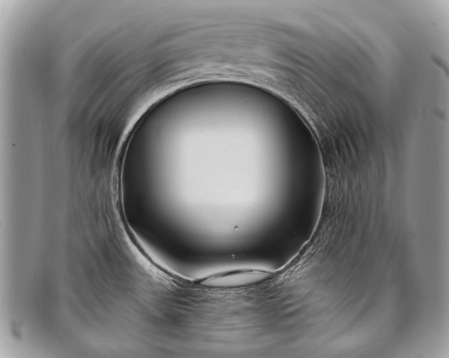 X0000098031531200804111310