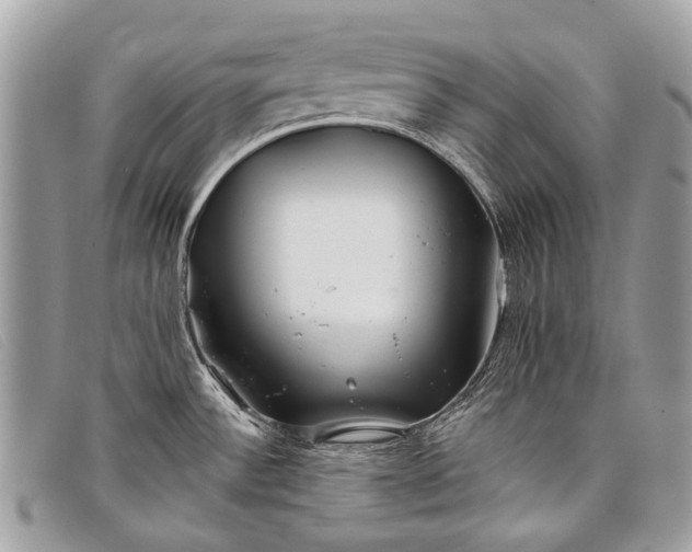 X0000098031532200804111310