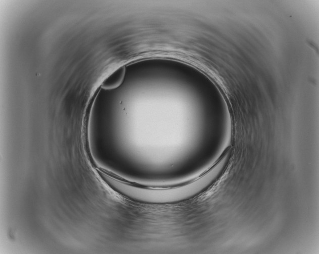 X0000098031533200804111310