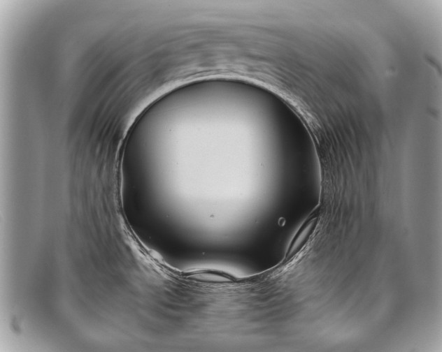 X0000098031534200804111310