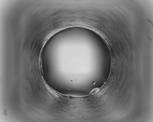 X0000098031535200804111310