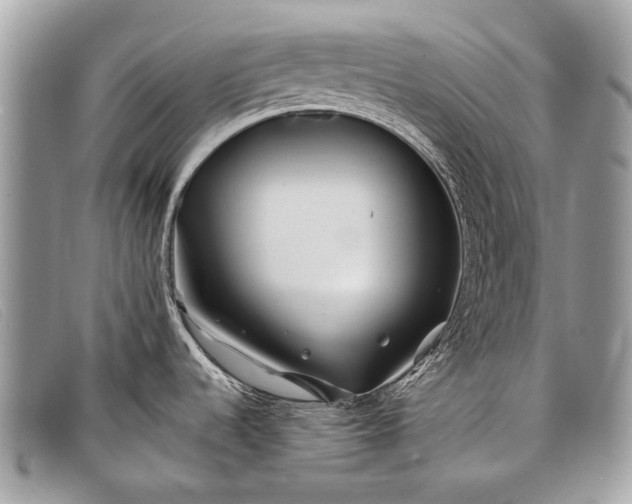 X0000098031536200804111310