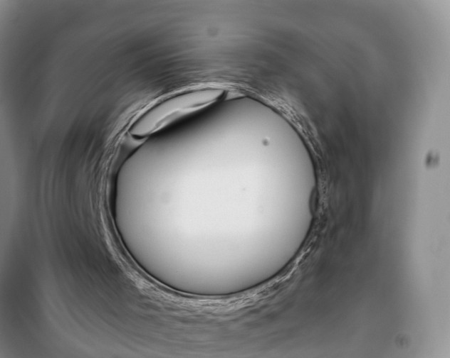 X0000098030001200804181241