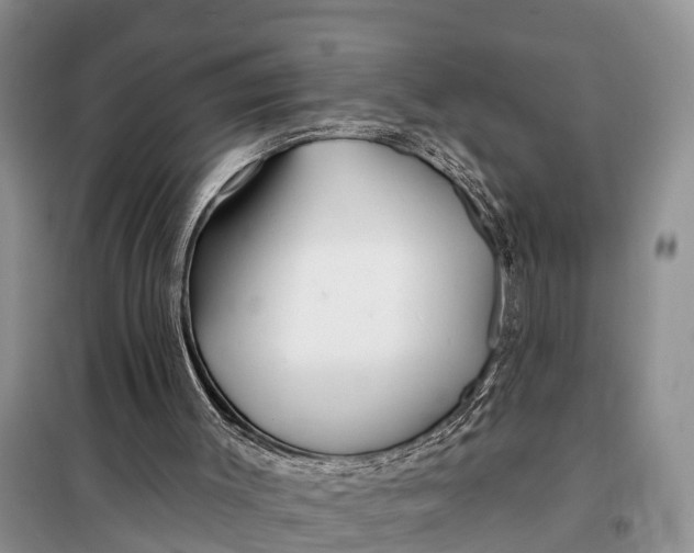 X0000098030003200804181241