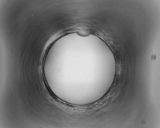 X0000098030004200804181241