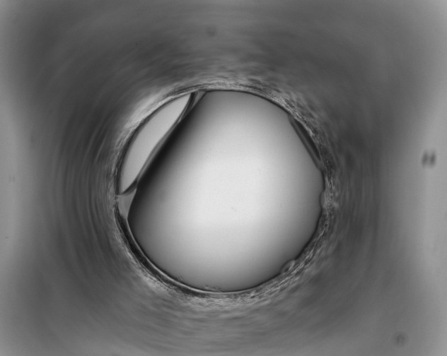 X0000098030005200804181241