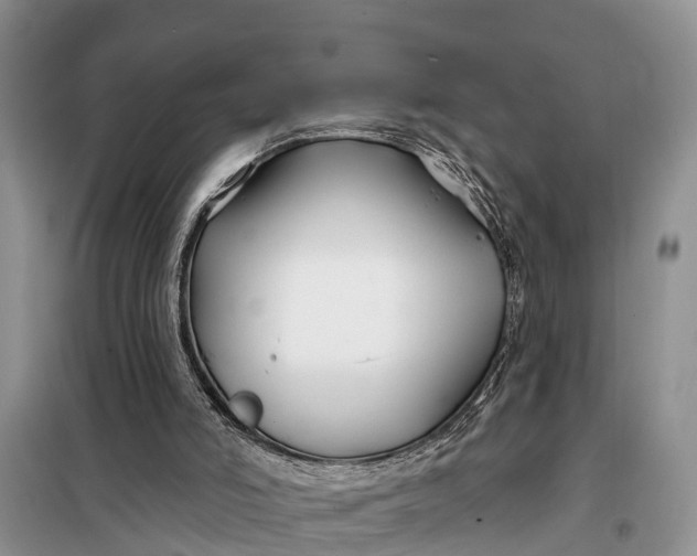 X0000098030006200804181241