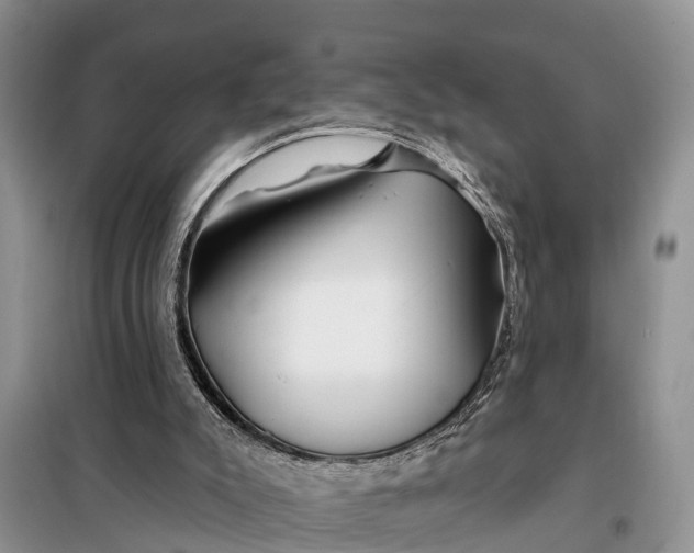 X0000098030007200804181241