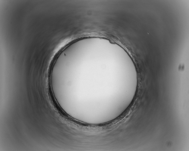 X0000098030008200804181241