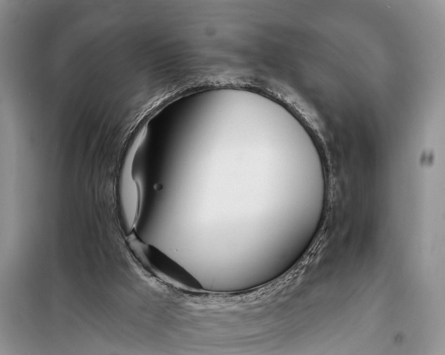 X0000098030009200804181241